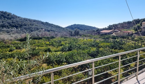 Family Apartment, Kitchenette, Garden View