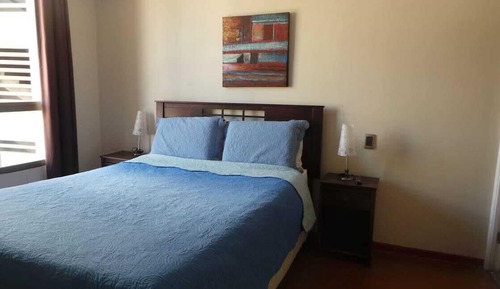 Basic Apartment