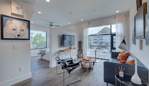 The Hive 201 King Suite Pet Friendly