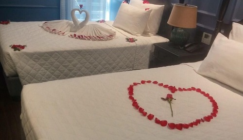 Premium Double or Twin Room