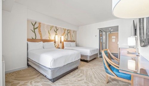 Beautiful Studio at Ala Moana 1419