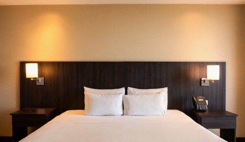 Room, 1 King Bed