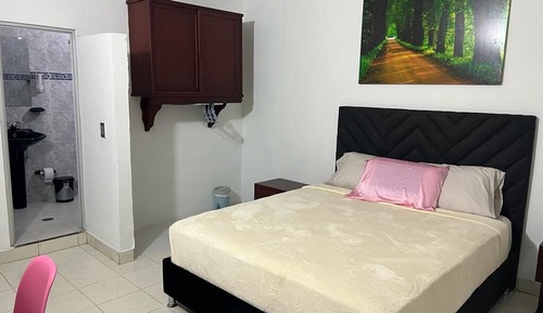 Basic Double Room