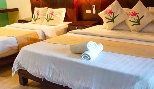 Suite Room