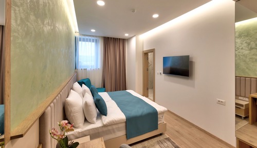 Superior Double or Twin Room