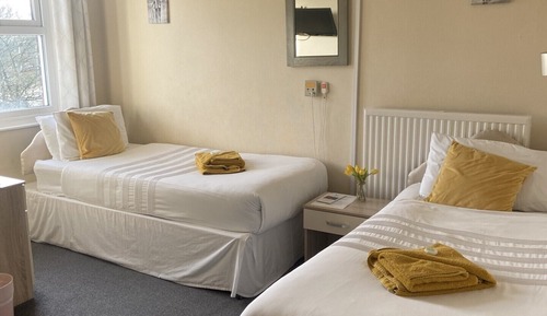 Basic Twin Room