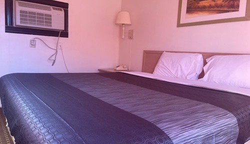Room, 1 King Bed