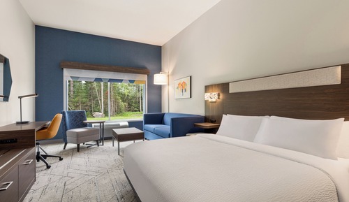 Suite, 1 King Bed, Roll-in Shower, Non Smoking (Comms, Mobil, Roll-In Shower)
