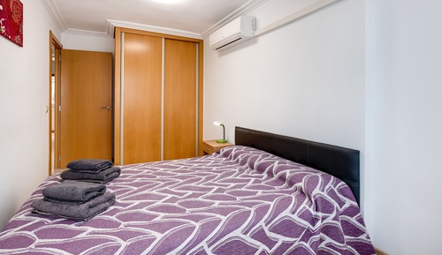 Basic Apartment