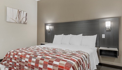 Superior Room, 1 King Bed, Non Smoking