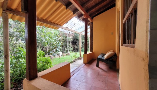 Guacharacas