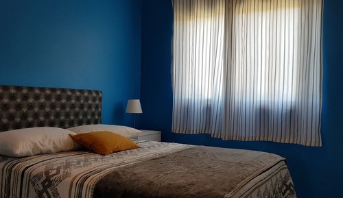 Basic Apartment