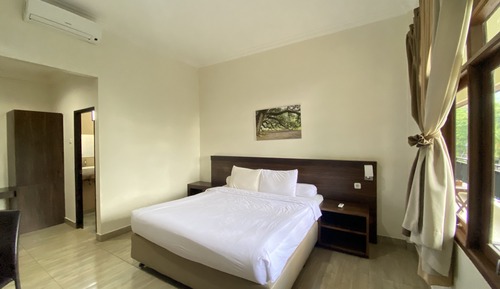 Superior Double or Twin Room, Mountain View