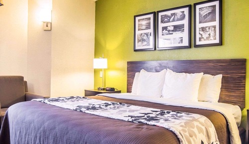 Standard Room, 1 King Bed, Non Smoking