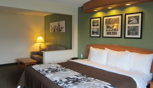 Suite, 1 Queen Bed, Accessible, Non Smoking