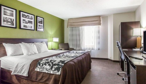 Standard Room, 1 King Bed, Non Smoking