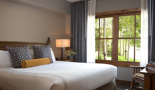 Room, 1 King Bed (Lodge - Sleeps 2)