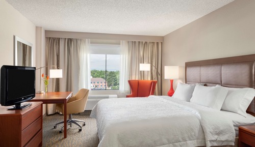 Room, 1 King Bed, Accessible, Bathtub