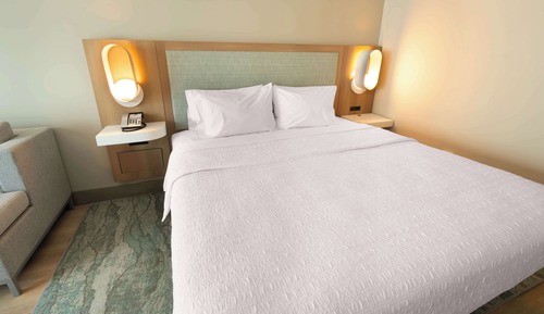Room, 1 King Bed with Sofa bed, Accessible (Hearing)