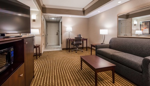 Suite, 1 King Bed, Non Smoking, Refrigerator & Microwave (with Sofabed)
