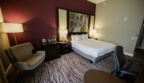 Room, 1 King Bed, Bathtub (Mobility, Hearing Accessible)