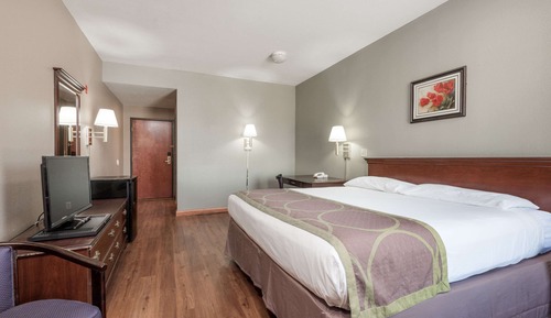Room, 1 King Bed, Non Smoking