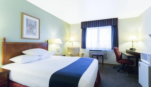 Room, 1 King Bed, Non Smoking
