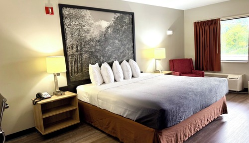 Room, 1 King Bed, Accessible, Non Smoking (Mobility Accessible)
