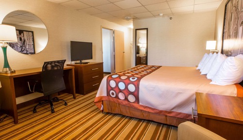 Room, 1 King Bed, Accessible, Non Smoking