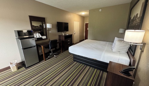 Standard Room, 1 King Bed, Non-Smoking