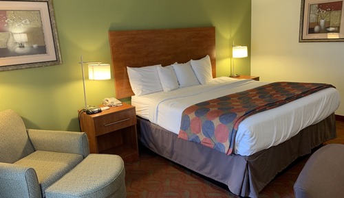 Room, 1 King Bed, Non Smoking