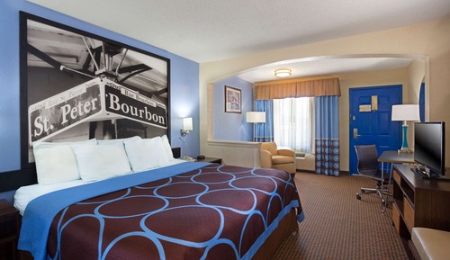 Room, 1 King Bed