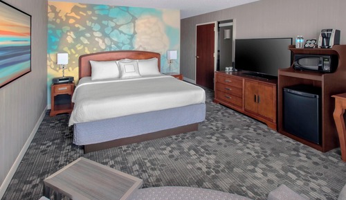 Room, 1 King Bed with Sofa bed