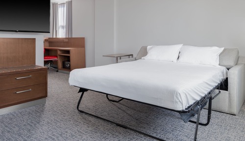 Room, 1 King Bed with Sofa bed