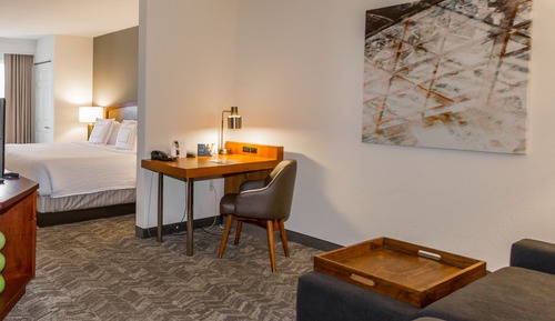 Suite, 1 King Bed with Sofa bed
