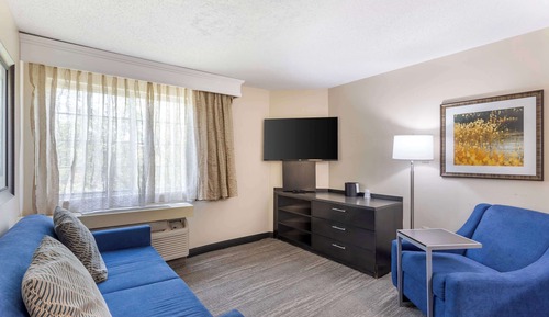 Suite, 1 Queen Bed, Accessible, Kitchen (with Sofabed)