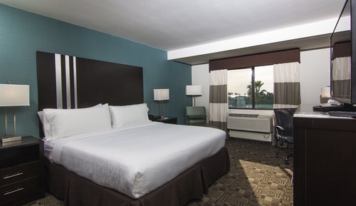 Suite, 1 King Bed, Accessible (Communications)