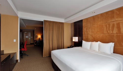 Business Suite, 1 King Bed with Sofa bed