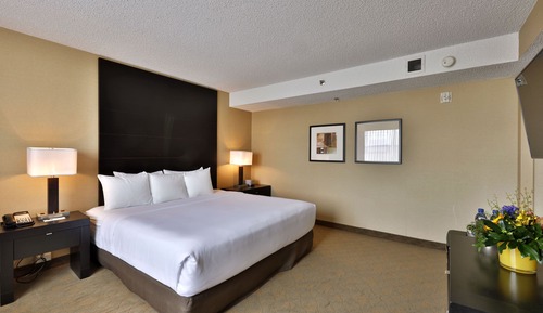 Standard Room, 1 King Bed