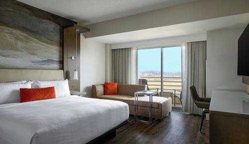 Room, 1 King Bed