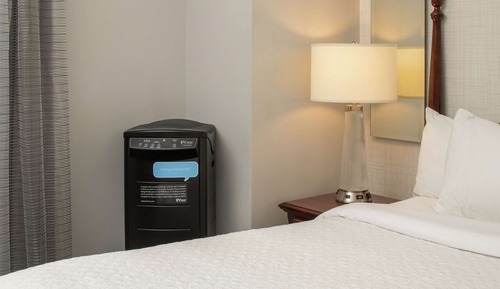 Suite, 2 Queen Beds, Accessible, Allergy Friendly