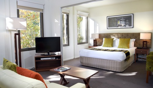 One Bedroom Parkview Apartment 