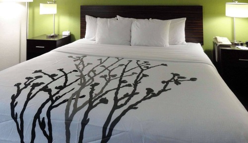 Standard Room, 1 King Bed, Non Smoking