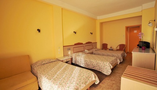 Basic Triple Room