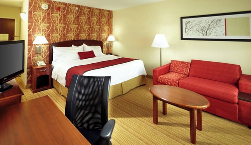 Room, 1 King Bed