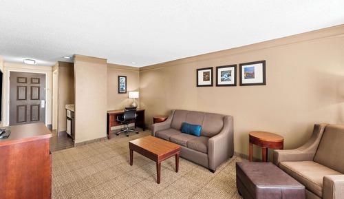 Suite, 1 King Bed with Sofa bed, Non Smoking (Efficiency)