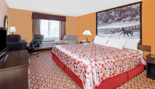 Room, 1 King Bed, Accessible, Non Smoking