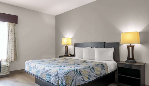 Standard Room, 1 King Bed, Accessible, Non Smoking