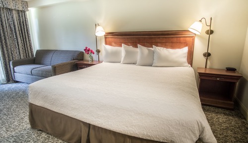 Room, 1 King Bed, Non Smoking