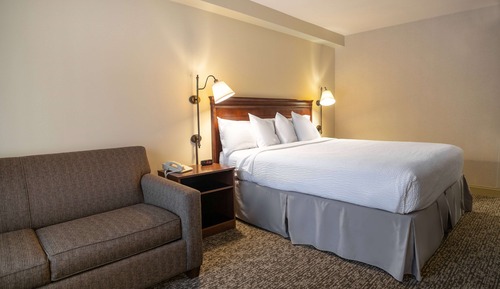Room, 1 King Bed, Non Smoking, Mountain View
